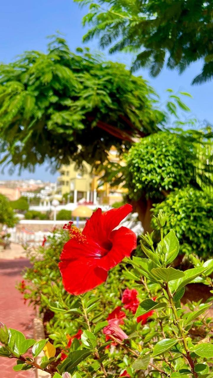 Cozy Two Bed Apartment. Costa Adeje  Kültér fotó